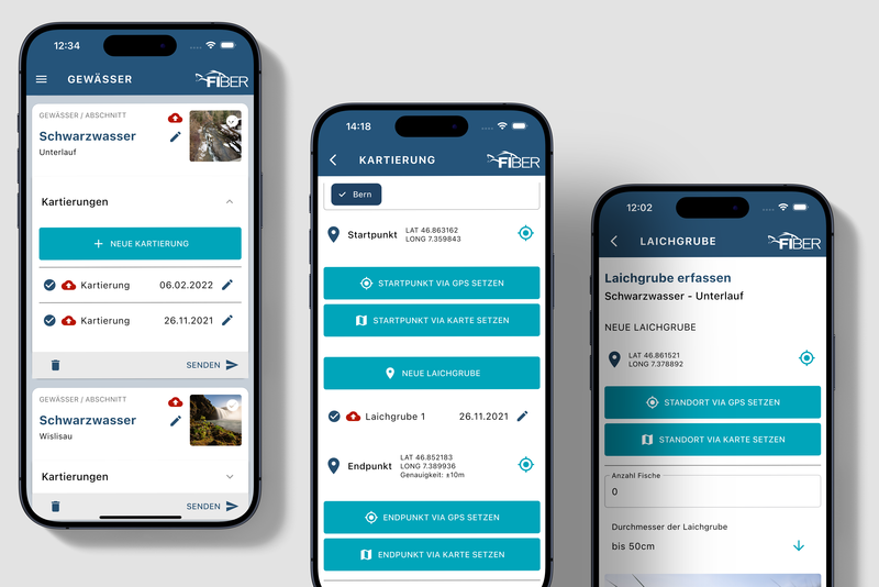 FIBER Laichzeit iOS/ Android App Zeigt drei iOS Mockups verschiedener Zustände der FIBER Laichzeit App